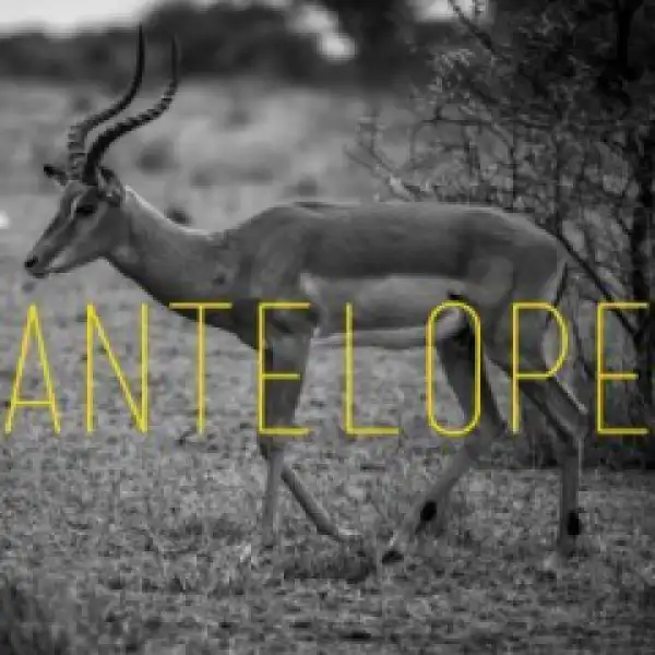 Kaysha - Antelope (Breyth AfroTech Remix) ft Boddhi Satva & H. Baraka